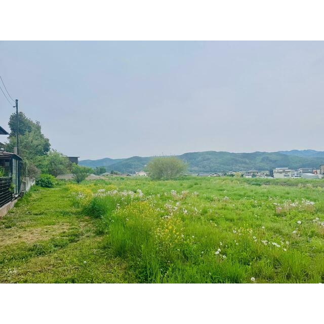 佐久市北川　土地