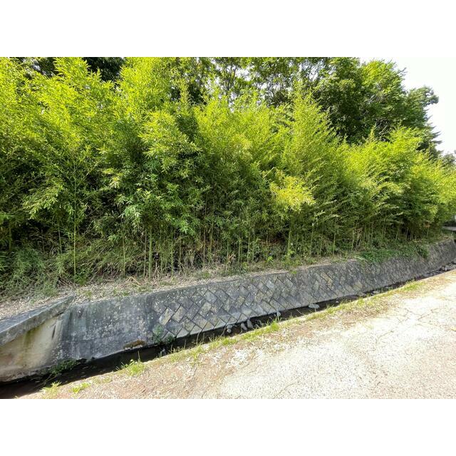 小諸市大字菱平　土地