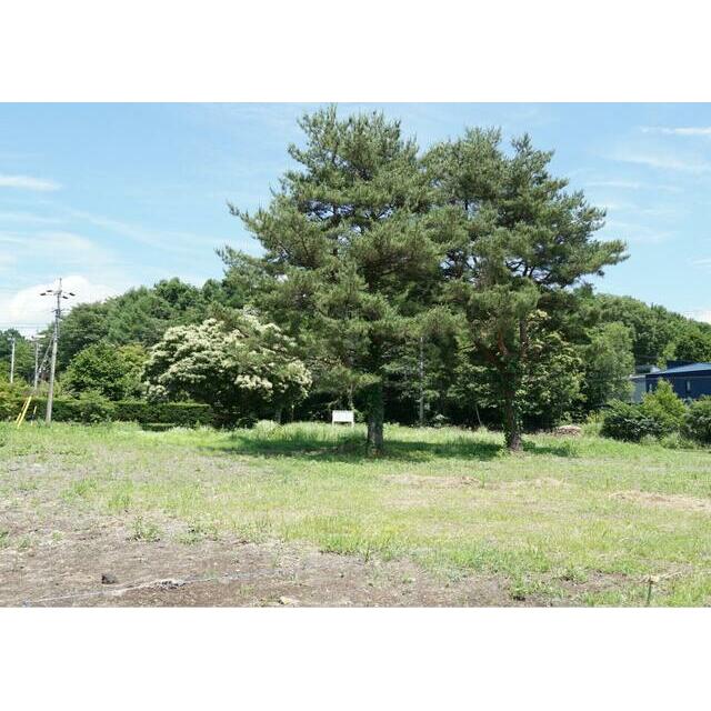 北佐久郡御代田町大字御代田　土地　5区画