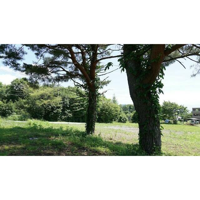 北佐久郡御代田町大字御代田　土地　5区画