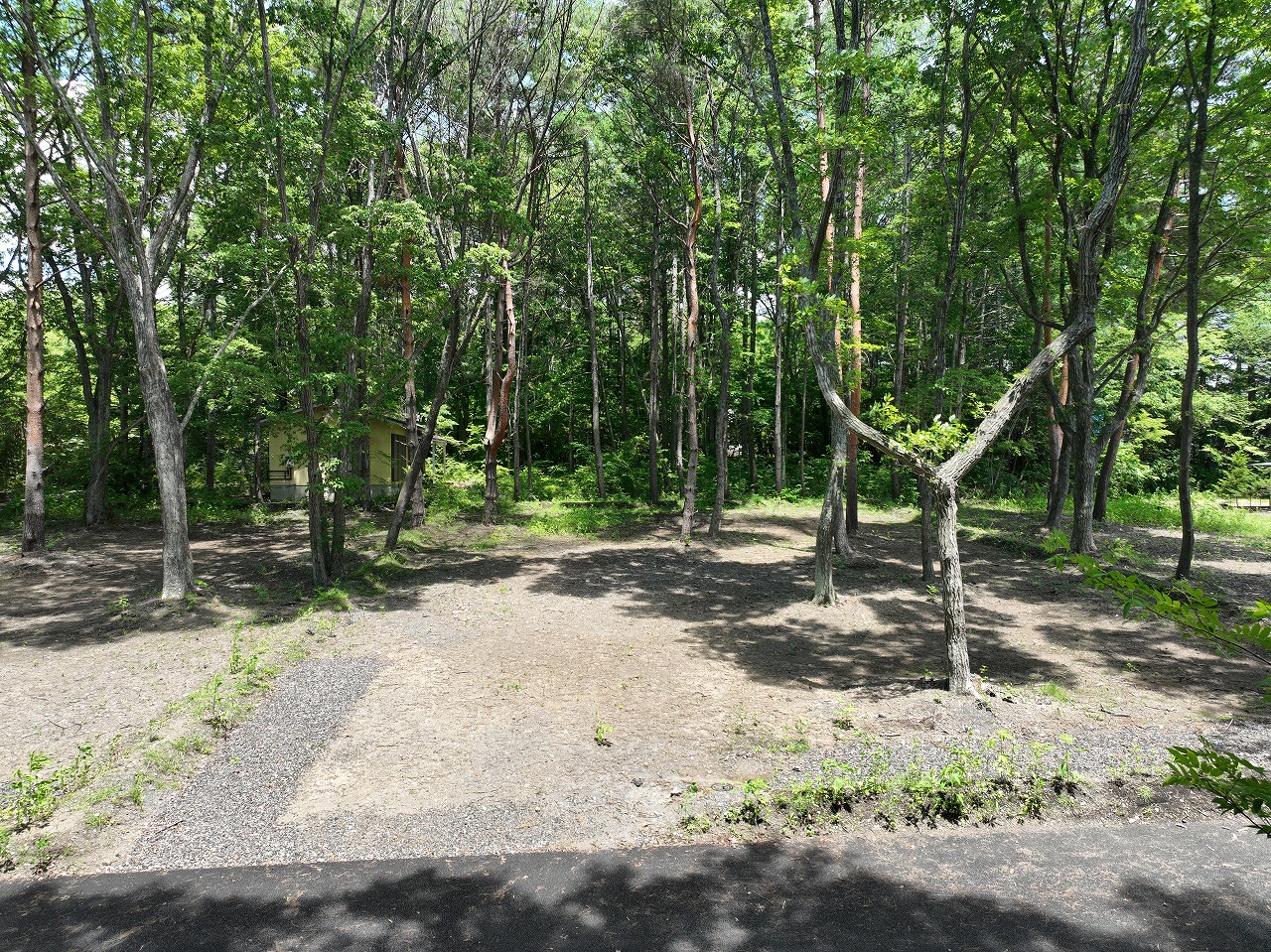 (御影)御代田町大字御代田大林 3区画分譲地