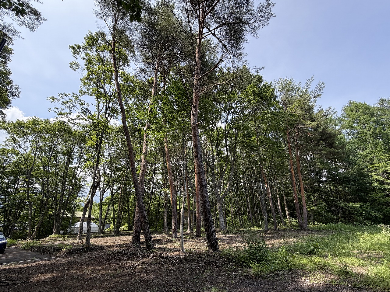 (御影)御代田町大字御代田大林 3区画分譲地