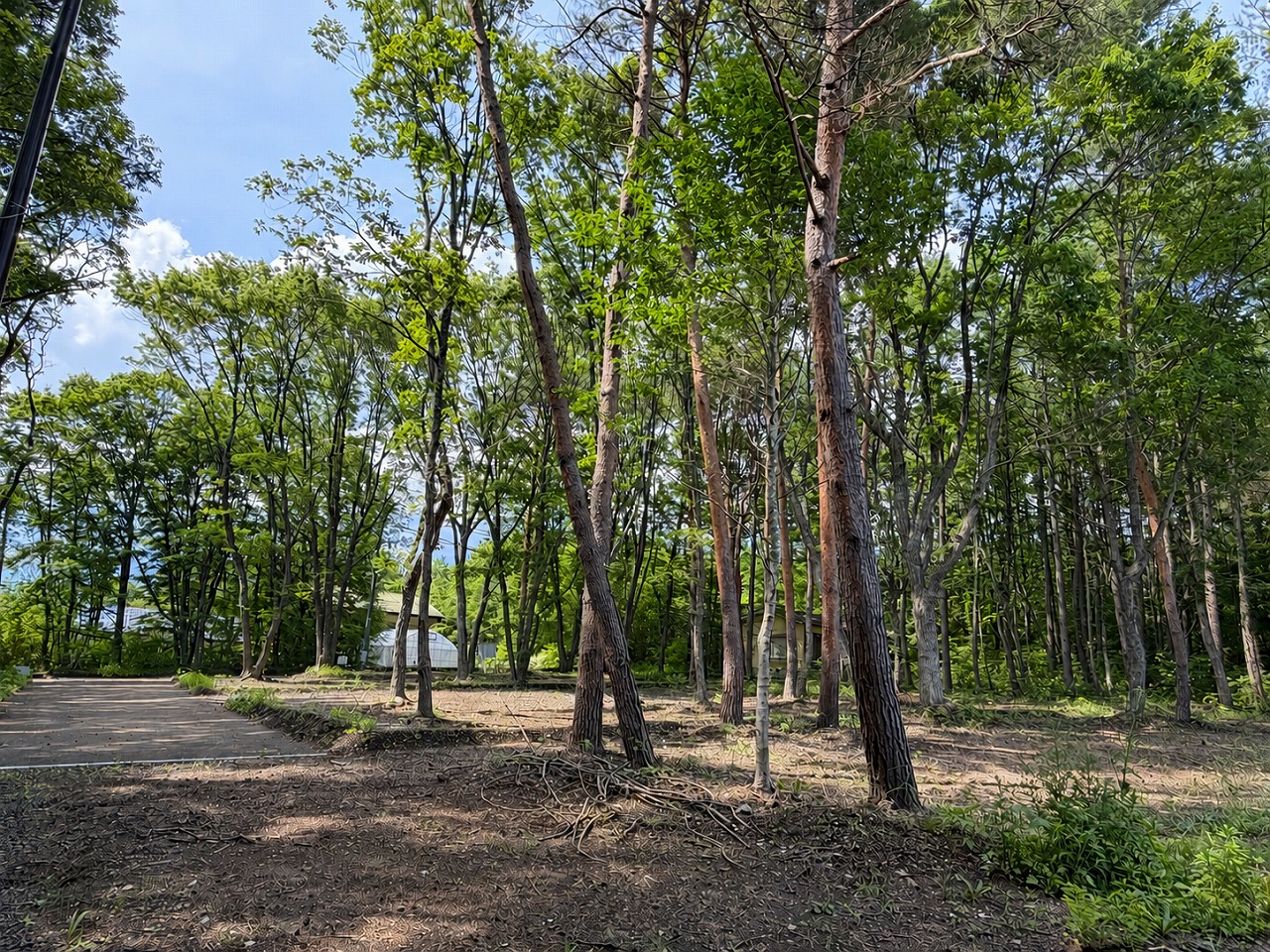 (御影)御代田町大字御代田大林 3区画分譲地