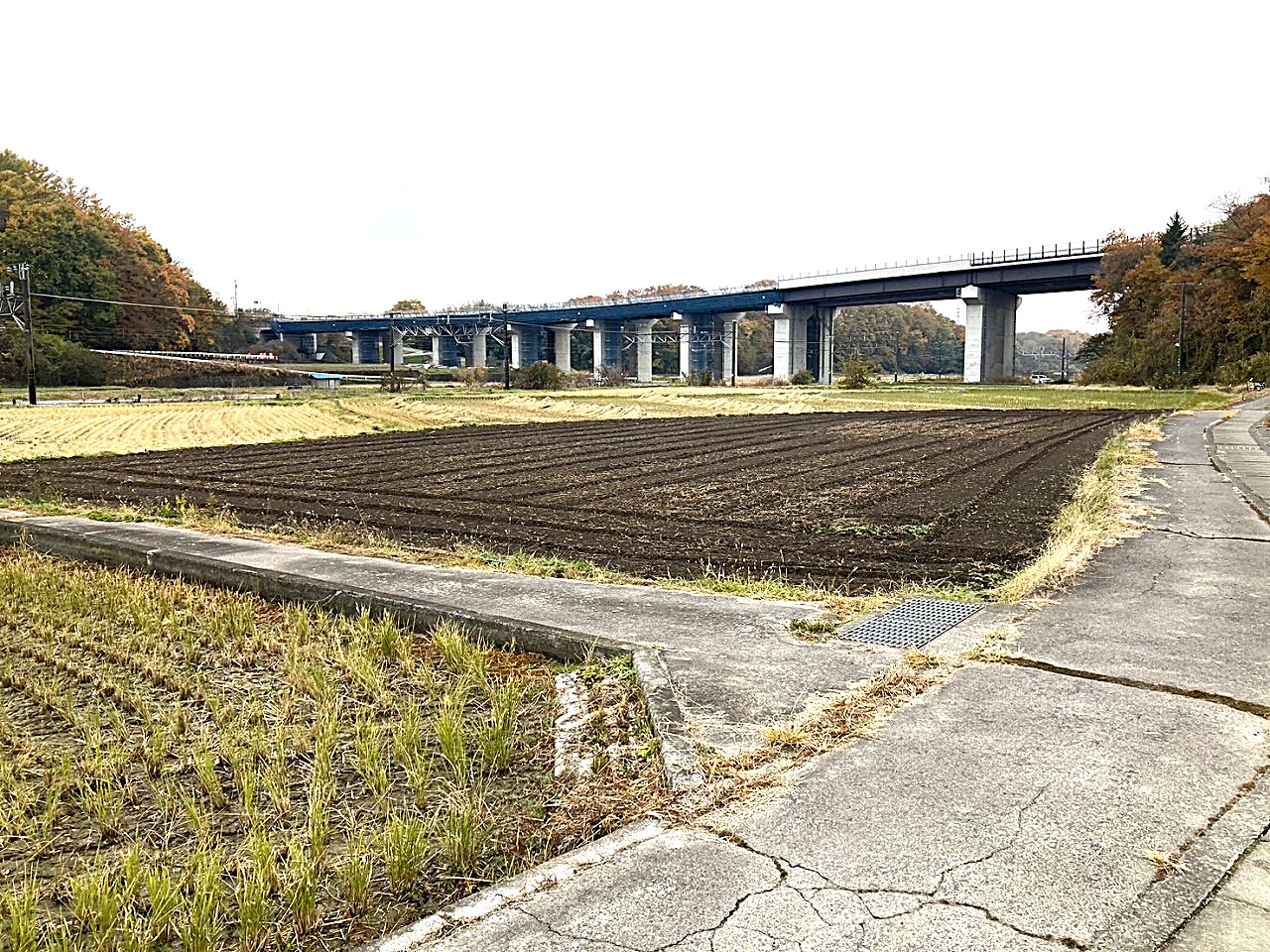 小諸市大字平原　土地
