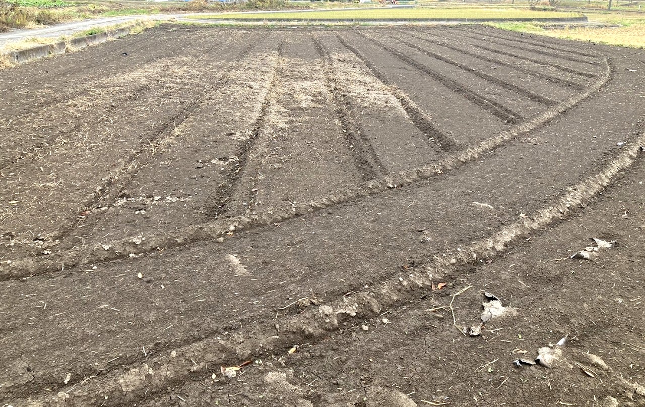 小諸市大字平原　土地