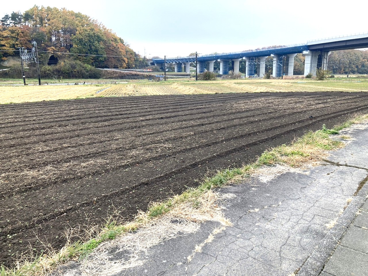 小諸市大字平原　土地