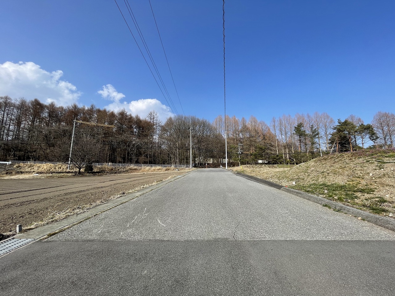 御代田町大字塩野 4区画分譲