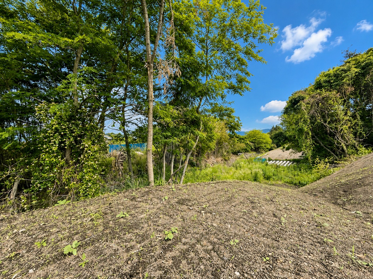 北佐久郡御代田町塩野　土地