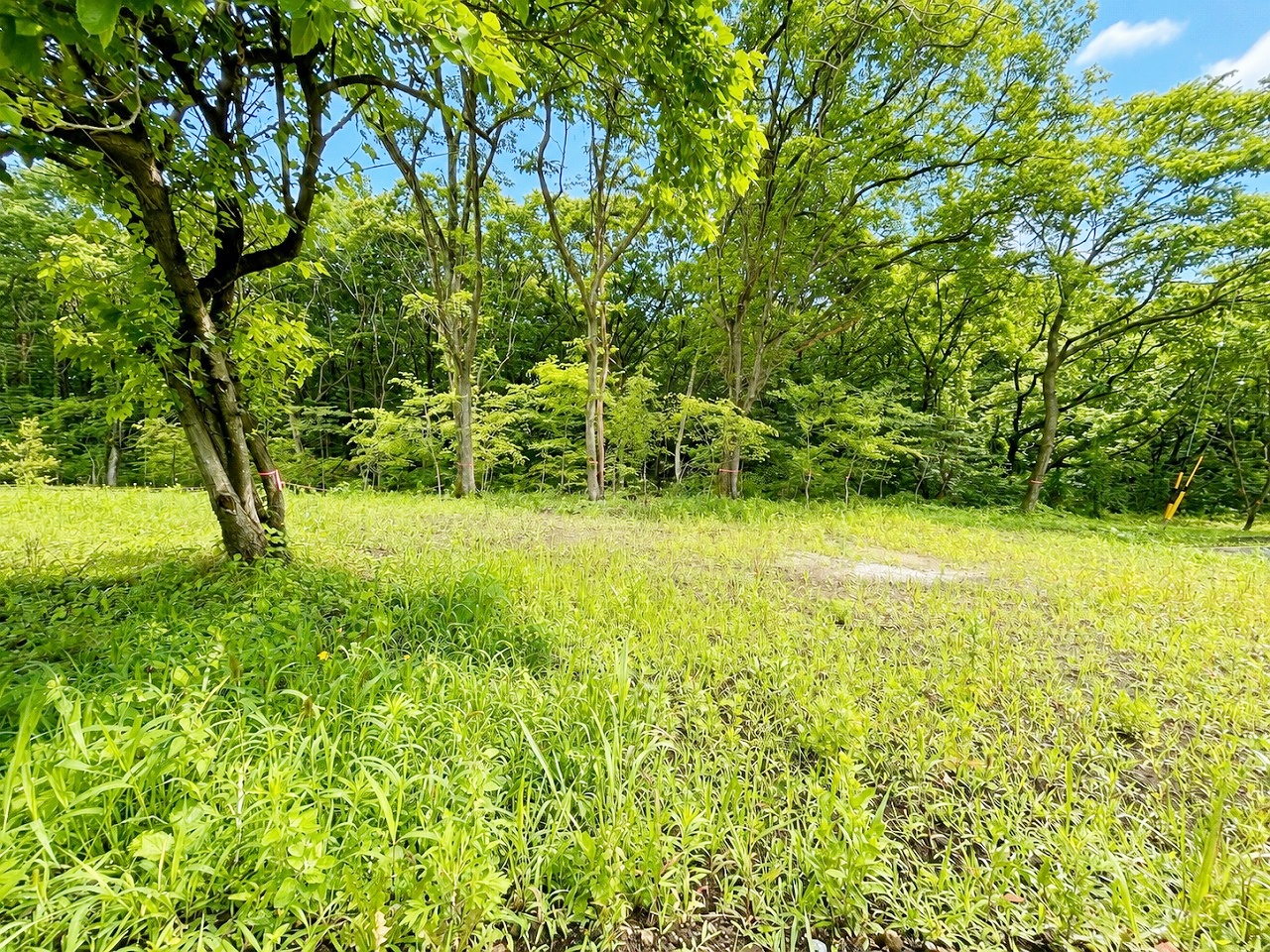 御代田町大字馬瀬口　4区画分譲　