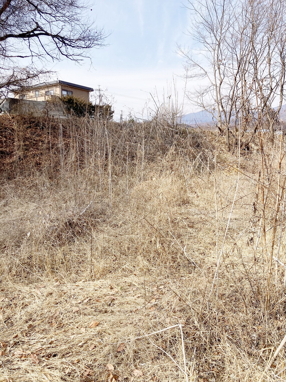 北佐久郡御代田町塩野 土地
