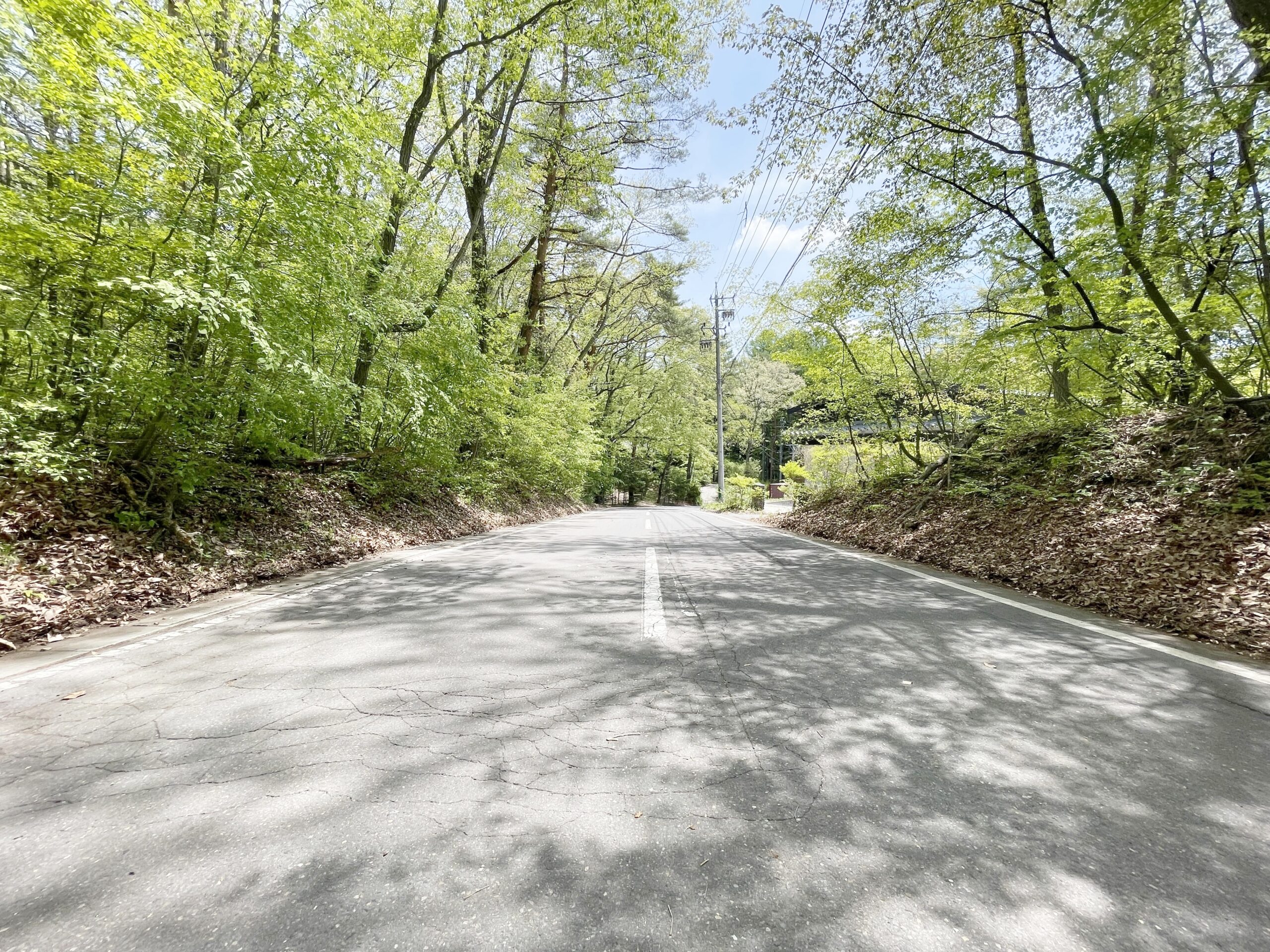 軽井沢町大字追分 土地