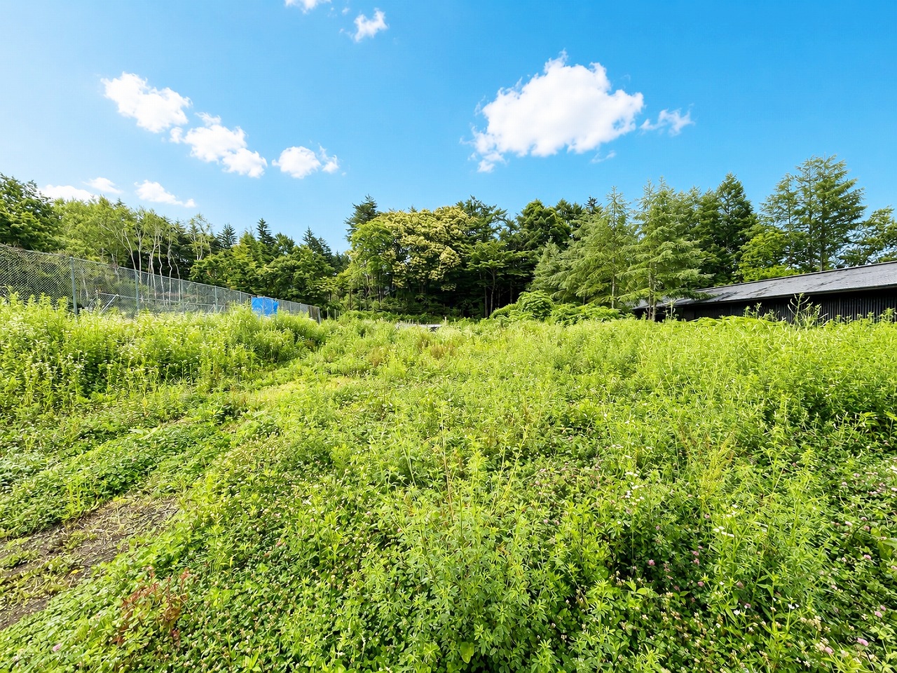 軽井沢町大字長倉字石海苔沢 2区画分譲