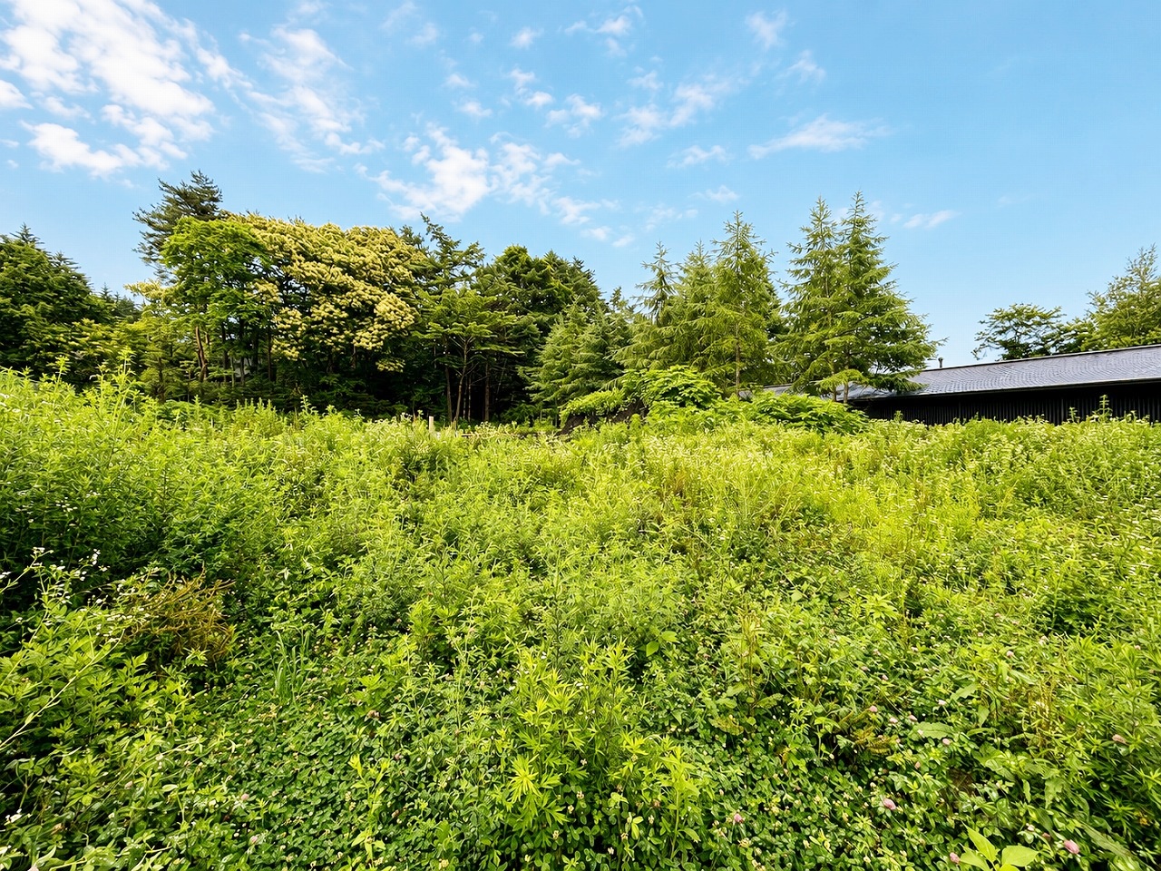 軽井沢町大字長倉字石海苔沢 2区画分譲