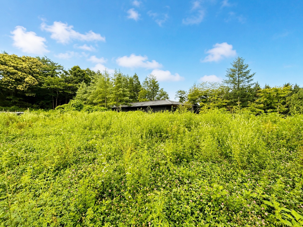 軽井沢町大字長倉字石海苔沢 2区画分譲