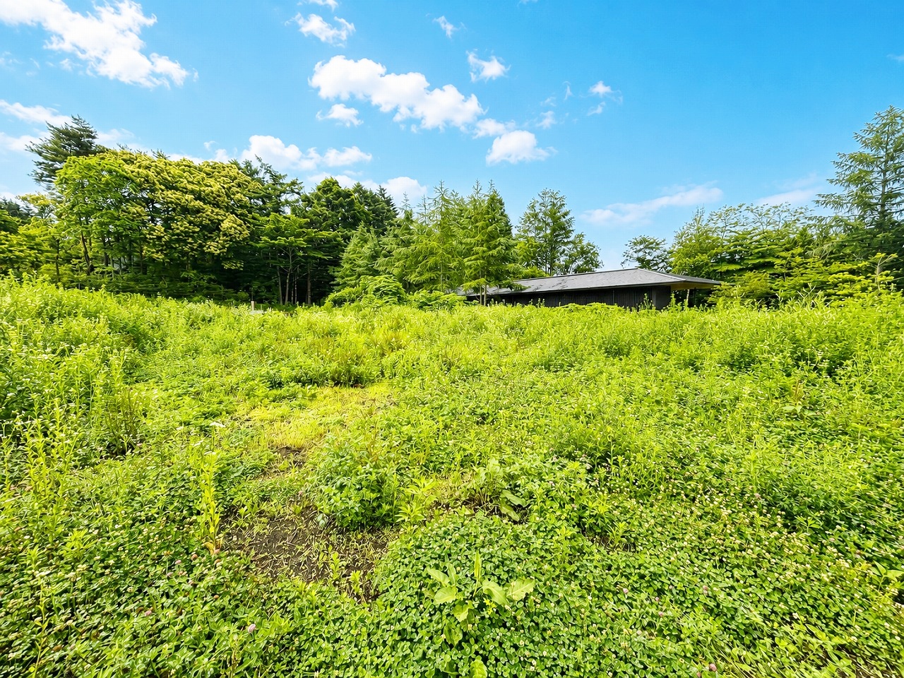 軽井沢町大字長倉字石海苔沢 2区画分譲