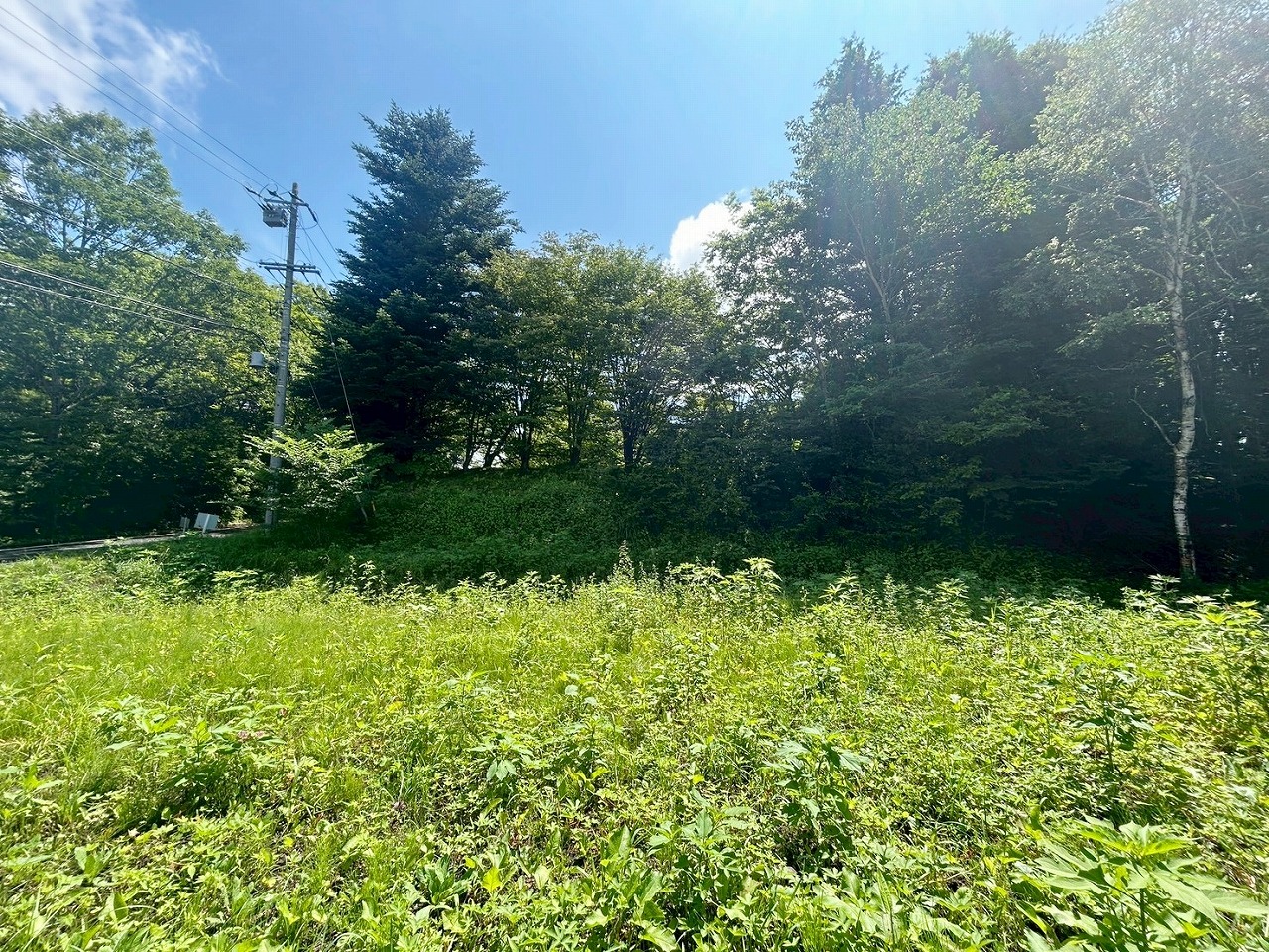 軽井沢町大字長倉字中山　土地