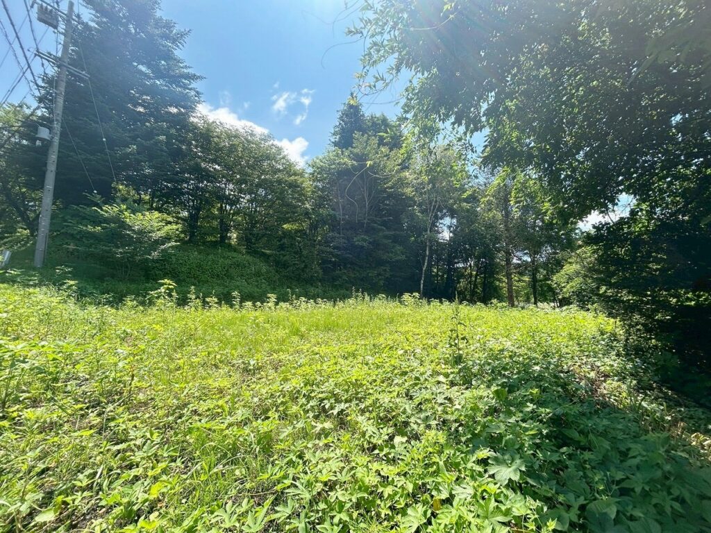 軽井沢町大字長倉字中山　土地