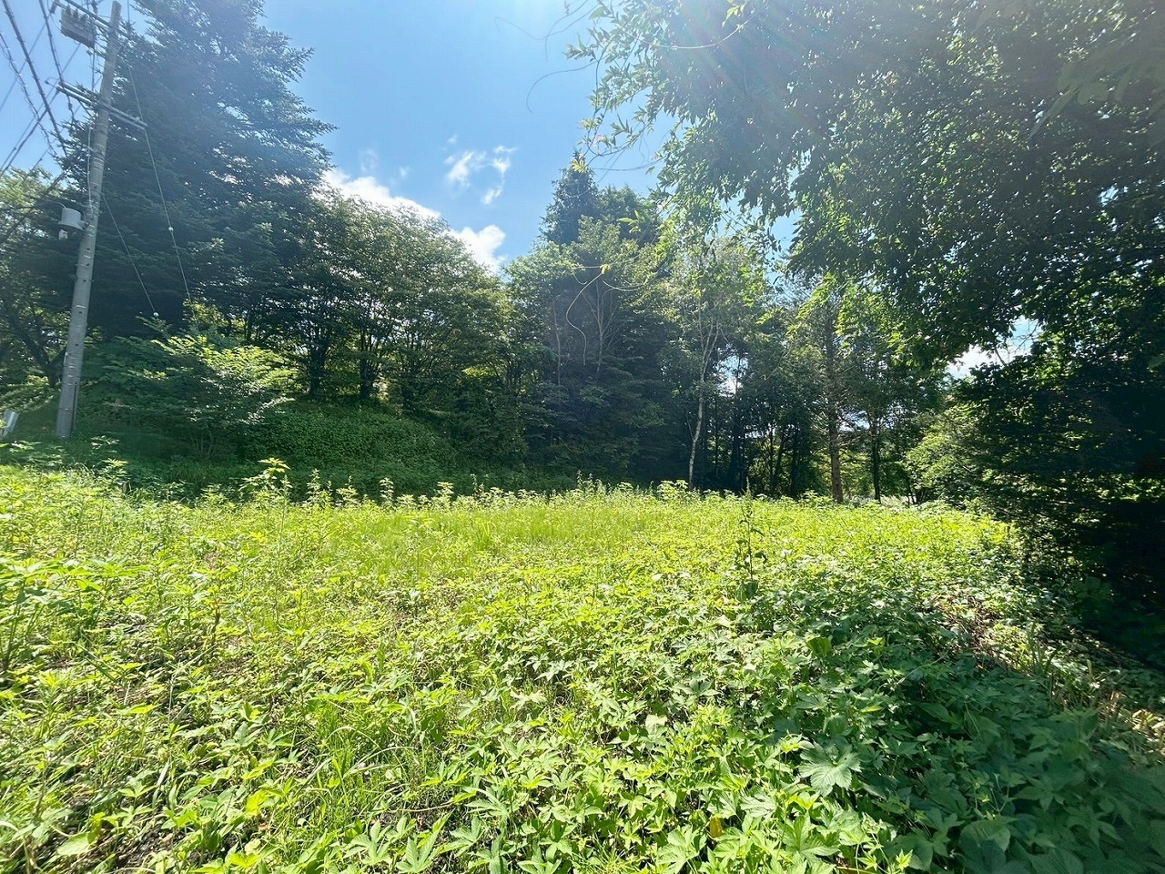 軽井沢町大字長倉字中山　土地