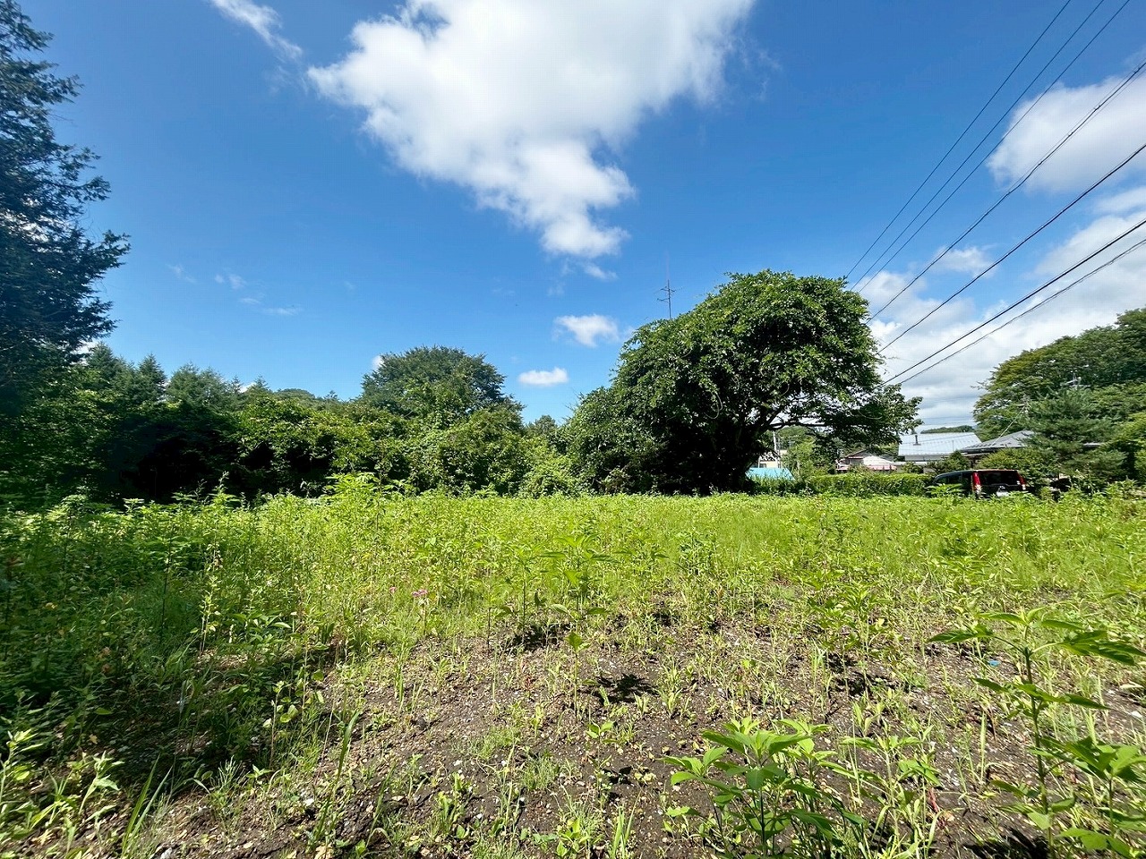 軽井沢町大字長倉字中山　土地