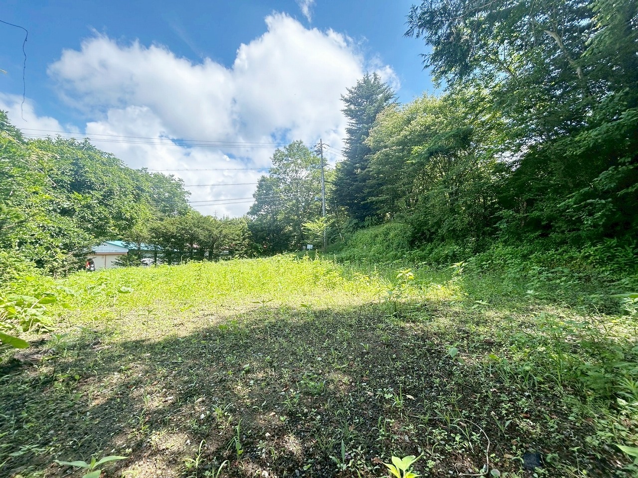 軽井沢町大字長倉字中山　土地