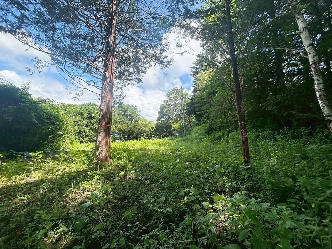 軽井沢町大字長倉字中山　土地