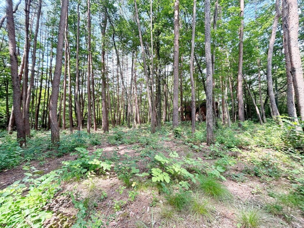 軽井沢町大字追分字上の原　2区画分譲　1号地