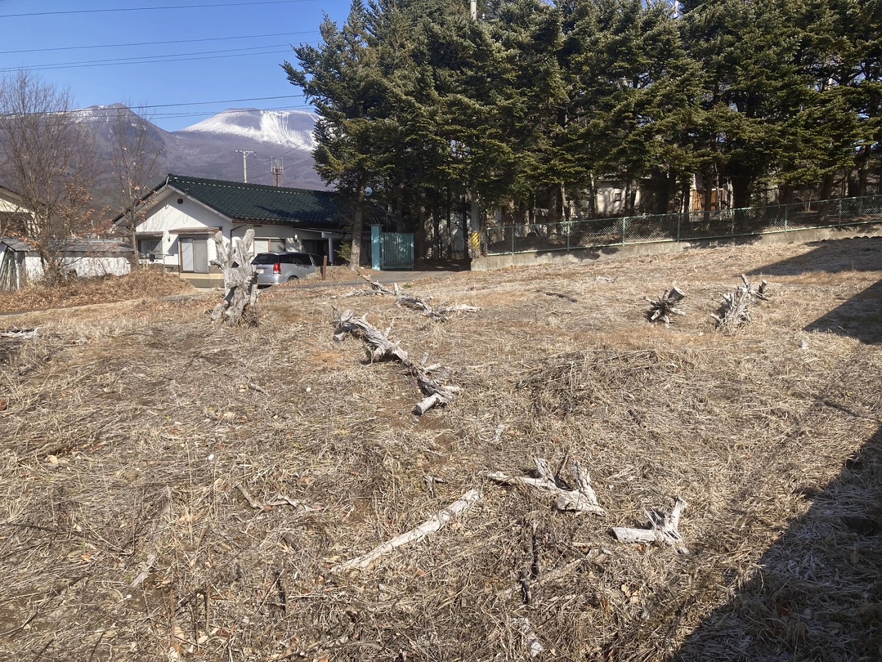 御代田町大字御代田大林　土地