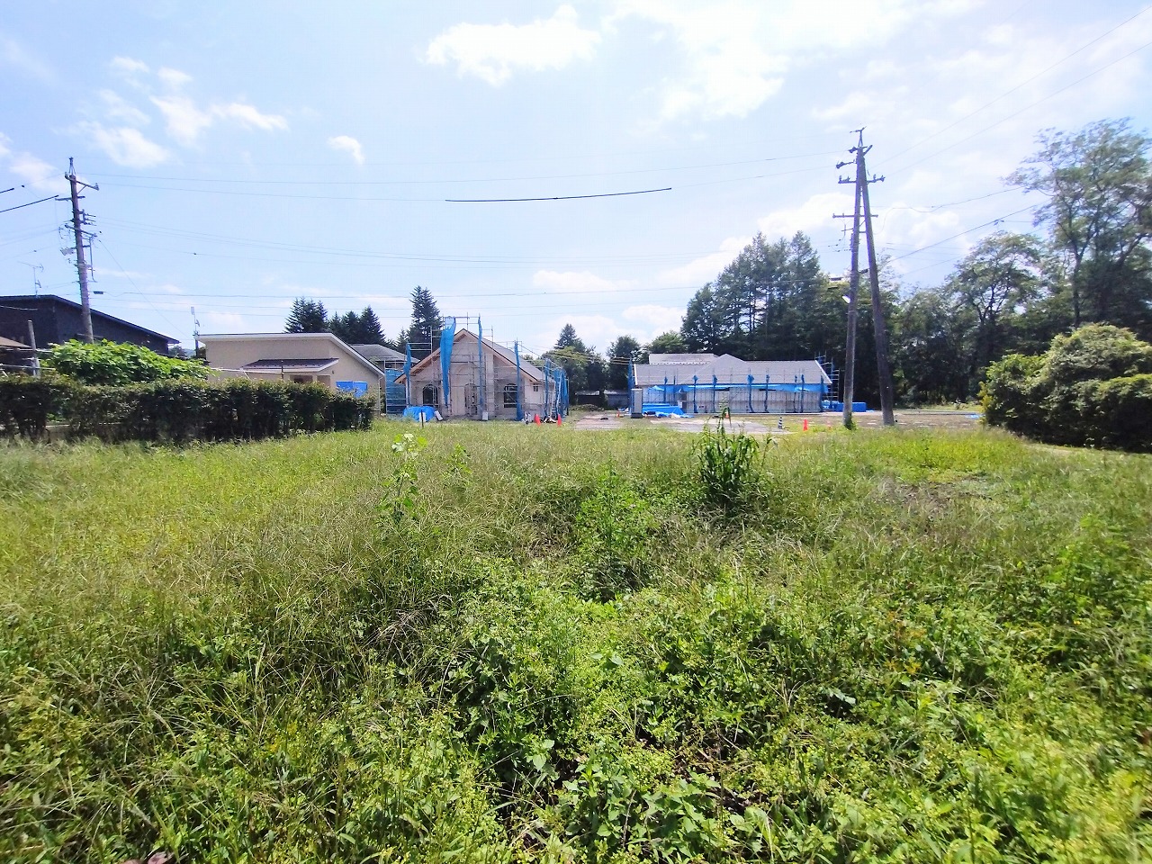 （成沢）軽井沢町大字軽井沢　土地